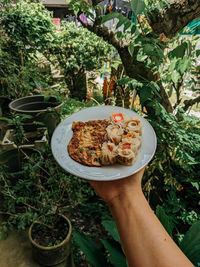 Cropped hand of woman holding a plated of food