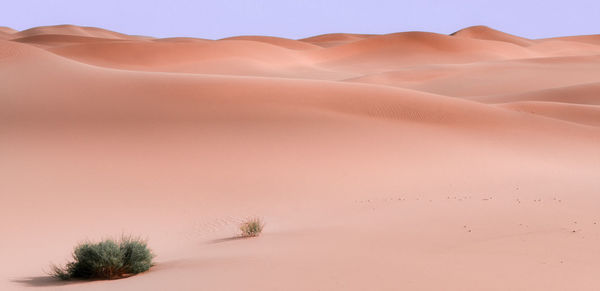 Scenic view of desert against sky