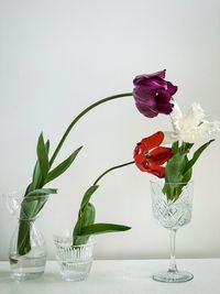 Close-up of three, different colored tulips in glassware on white background.