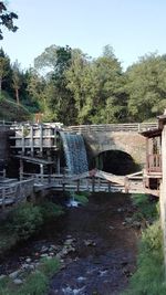 Bridge over canal in forest