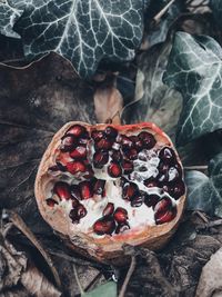 High angle view of ice cream