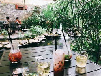 Potted plants on table at restaurant