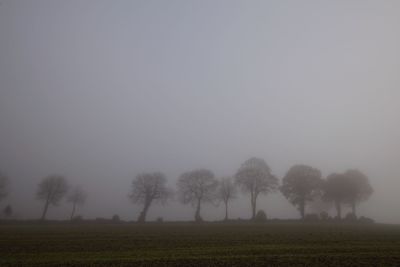 Trees on field against sky during foggy weather