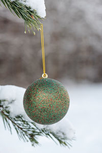 Close-up of christmas decoration