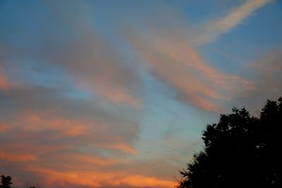 Low angle view of silhouette trees against sky during sunset
