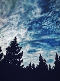 Low angle view of silhouette trees against sky