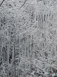 Full frame shot of snow on field