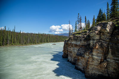 Scenic view of rocks in forest against blue sky