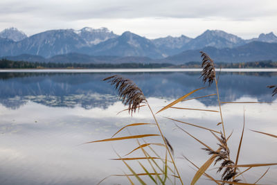 Scenic view of lake against mountain range