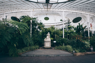 Statue against plants in garden