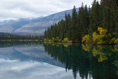 Lake beauvert with trees and reflection. jasper national park, alberta, canada. banff national park.