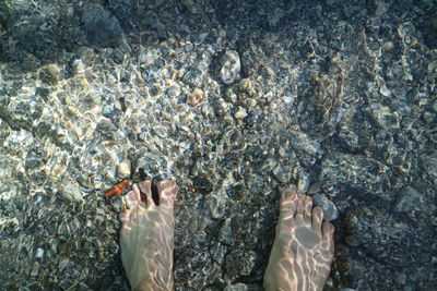 High angle view of woman on beach