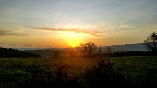 Scenic view of field against sky during sunset