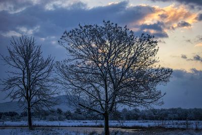 Bare tree against sky during winter