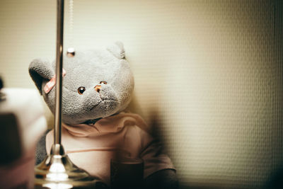 Teddy bear against illuminated wall