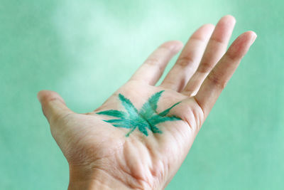 Close-up of human hand holding leaf