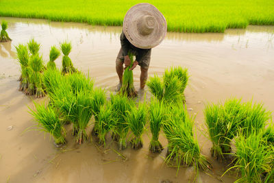 Full length of man working at farm