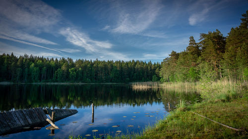 Scenic view of lake in forest against sky