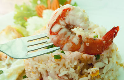 Close-up of meal served in plate