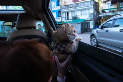 Rear view of cat by car