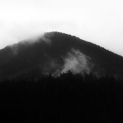 Low angle view of silhouette trees against sky