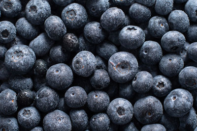 Big box with scattered fresh blueberries, fresh raw food, natural healthy food