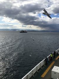 Seagull flying over sea against sky