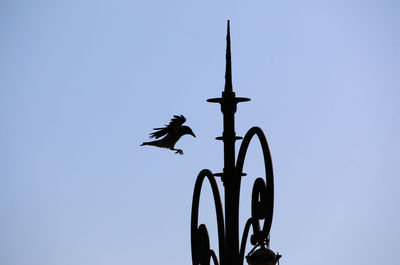 Low angle view of bird flying against clear sky