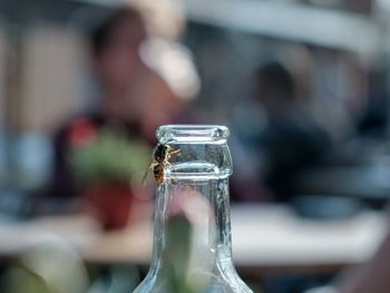 Close-up bottle of water