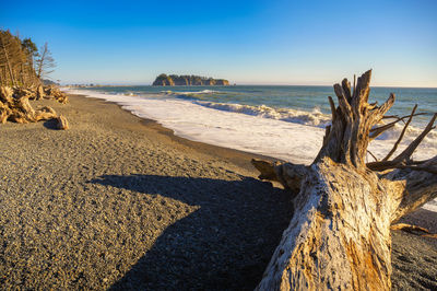 Scenic view of sea against clear sky