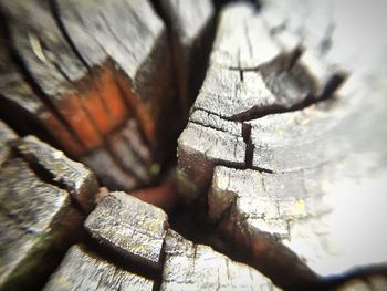 Close-up of wood