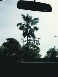 Silhouette palm trees against sky seen through car windshield