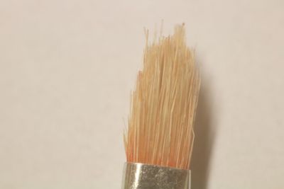 Close-up of paintbrushes against white background