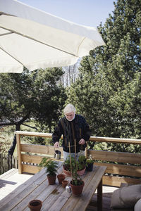 High angle view of senior man watering potted plants at table against trees