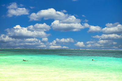 Beautiful coral reef sea in okinawa