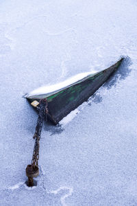 High angle view of animal on snow covered boat