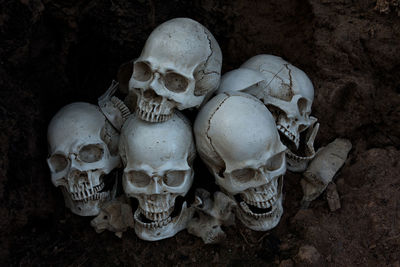 Low angle view of human skull