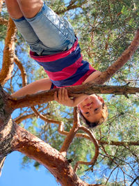 Low angle view of boy climbing on tree