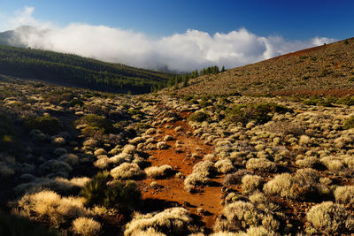 Scenic view of mountains against cloudy sky