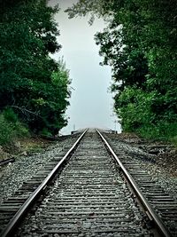 View of railroad tracks against trees