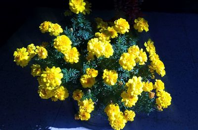High angle view of fresh yellow flowers bouquet