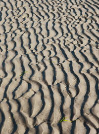 Full frame shot of sand dune