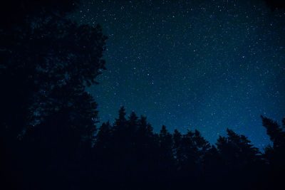 Low angle view of silhouette trees against star field sky at night