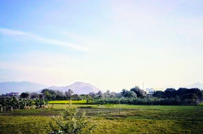 Scenic view of agricultural field and mountains against sky