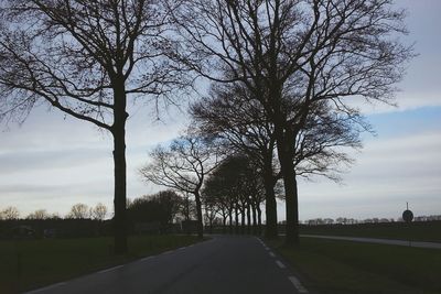 Road passing through trees