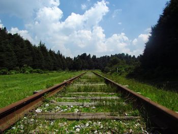 Plants growing on railroad track against sky