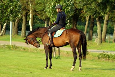 Man riding horse on field