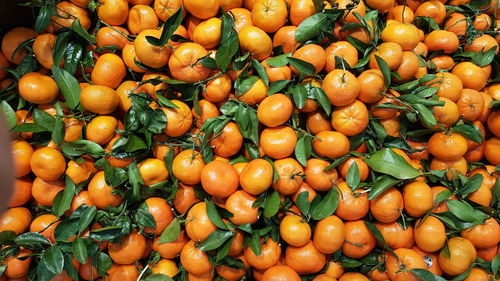 Full frame shot of fruits for sale at market stall