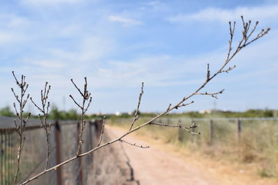 Barbed wire fence on field against sky