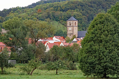 Trees and buildings against sky